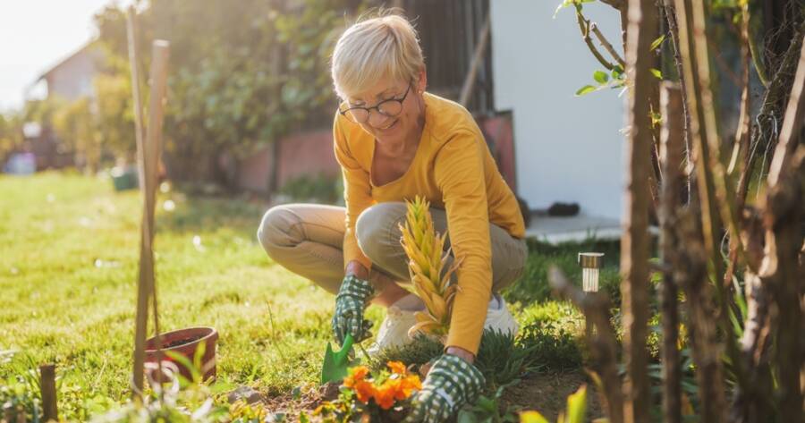 What Are the Best States for Retirement?