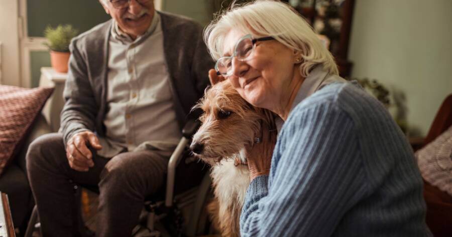 Dog Adoption for Seniors: Finding a Calm Companion